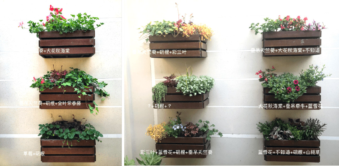 文章配图-77
