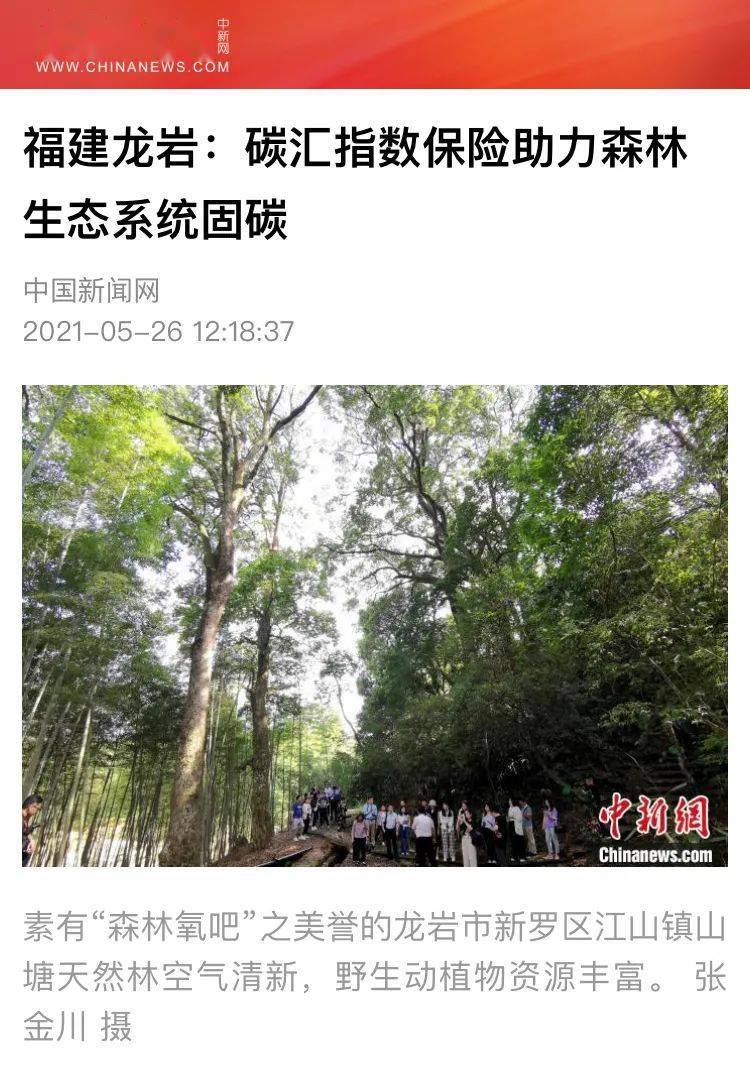 聚焦林业碳汇指数保险落地龙岩多家中央主流媒体
