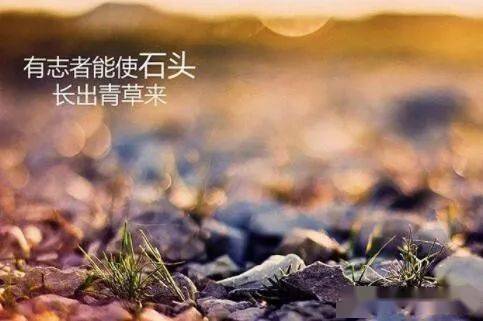 如何让自己不在乎一切 0d95434f608243adb0a7cc5bbc0a874a.jpeg