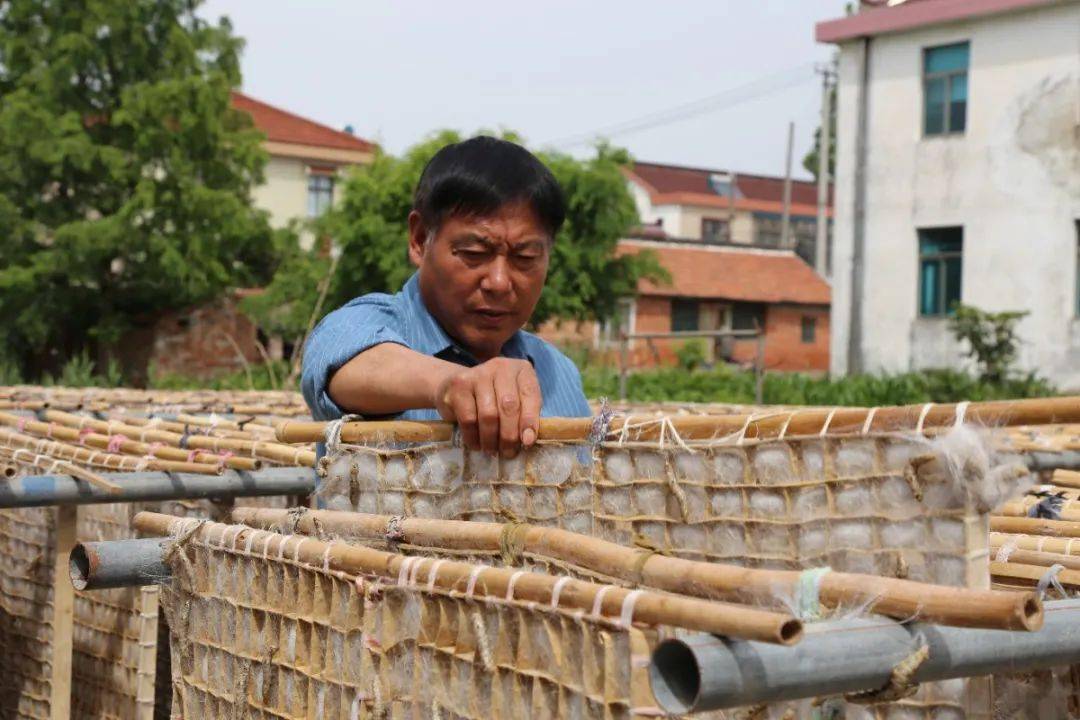 蚕上山用什么做山图片图片