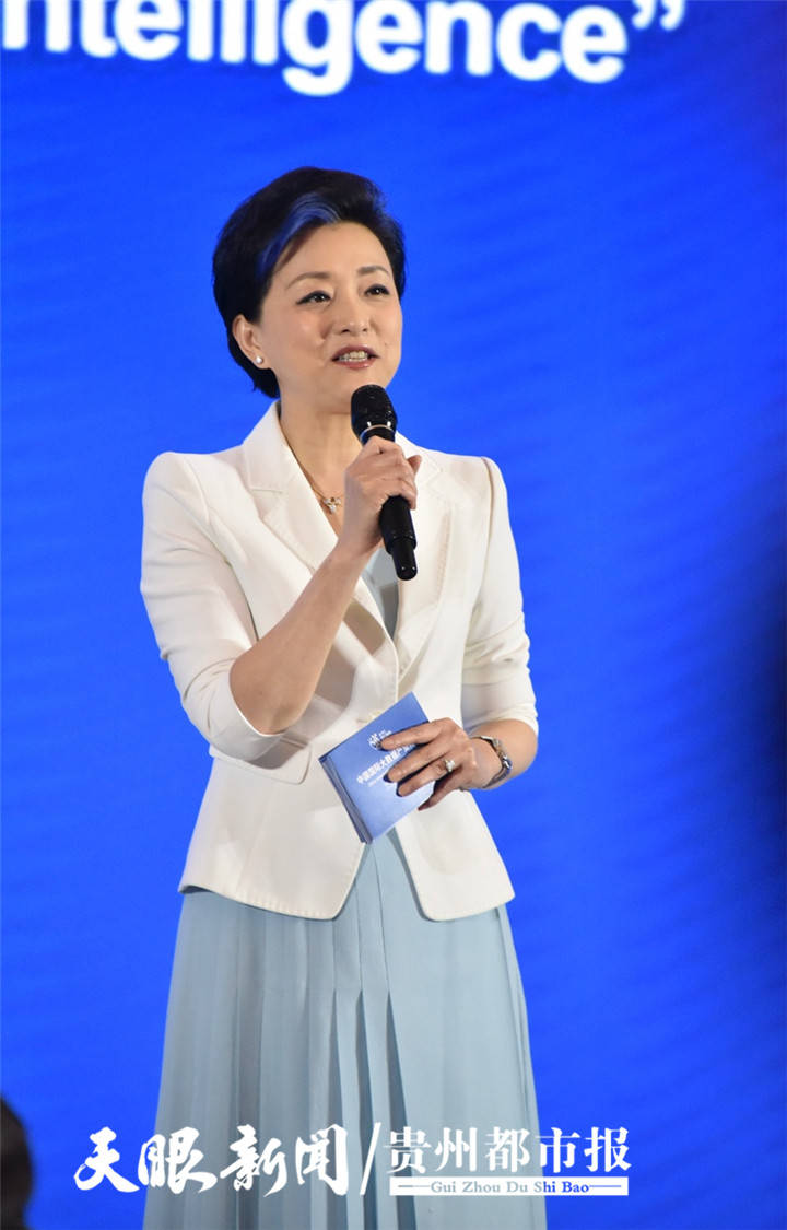 杨澜再次亮相"人工智能"高端对话_章虹
