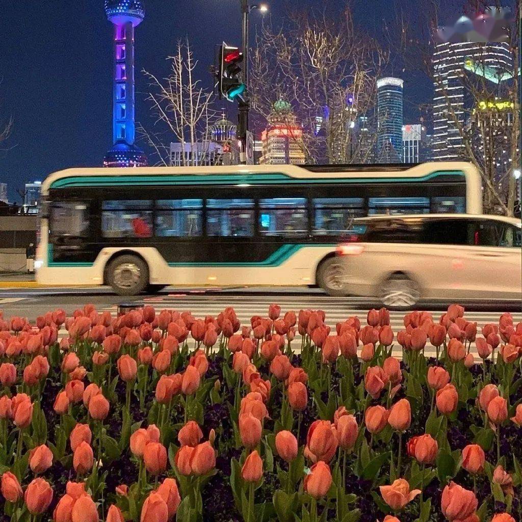 背景图 你知道想念的时候整个世界都会安静吗 好运