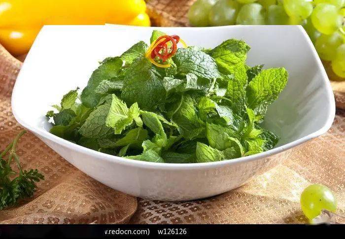 烹饪小技巧夏天吃薄荷叶