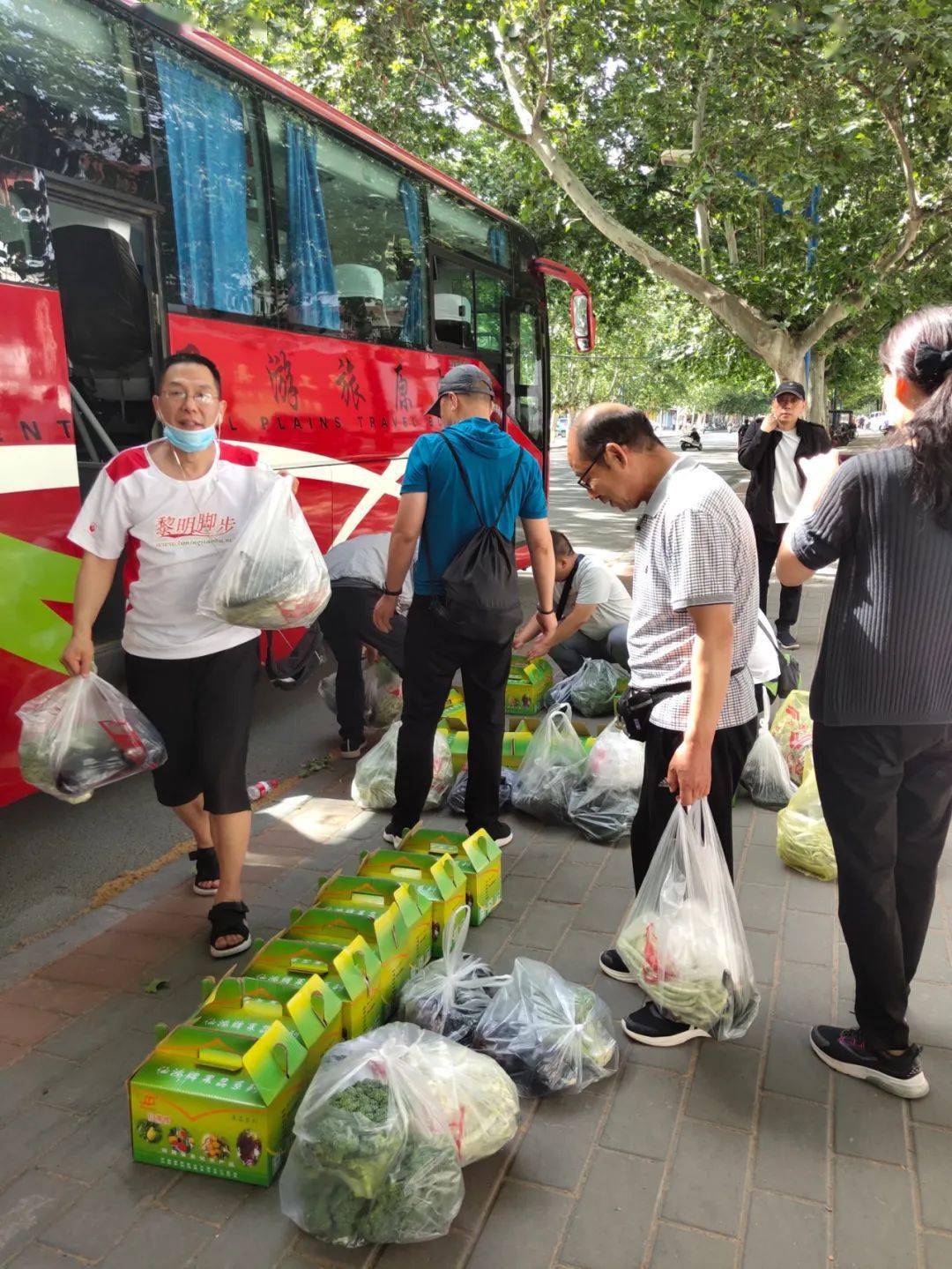 沁阳市紫陵镇各村GDP_地名文化 沁阳市紫陵村村名起源