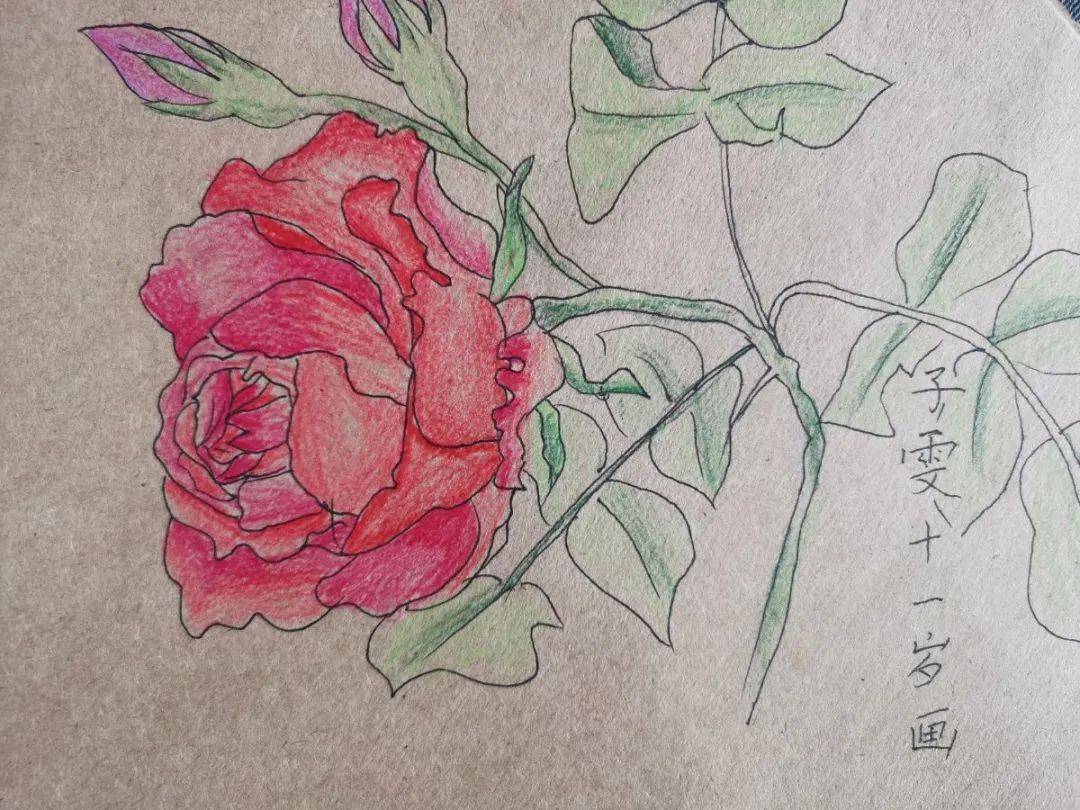 和美绽放实小举行首届蔷薇花节