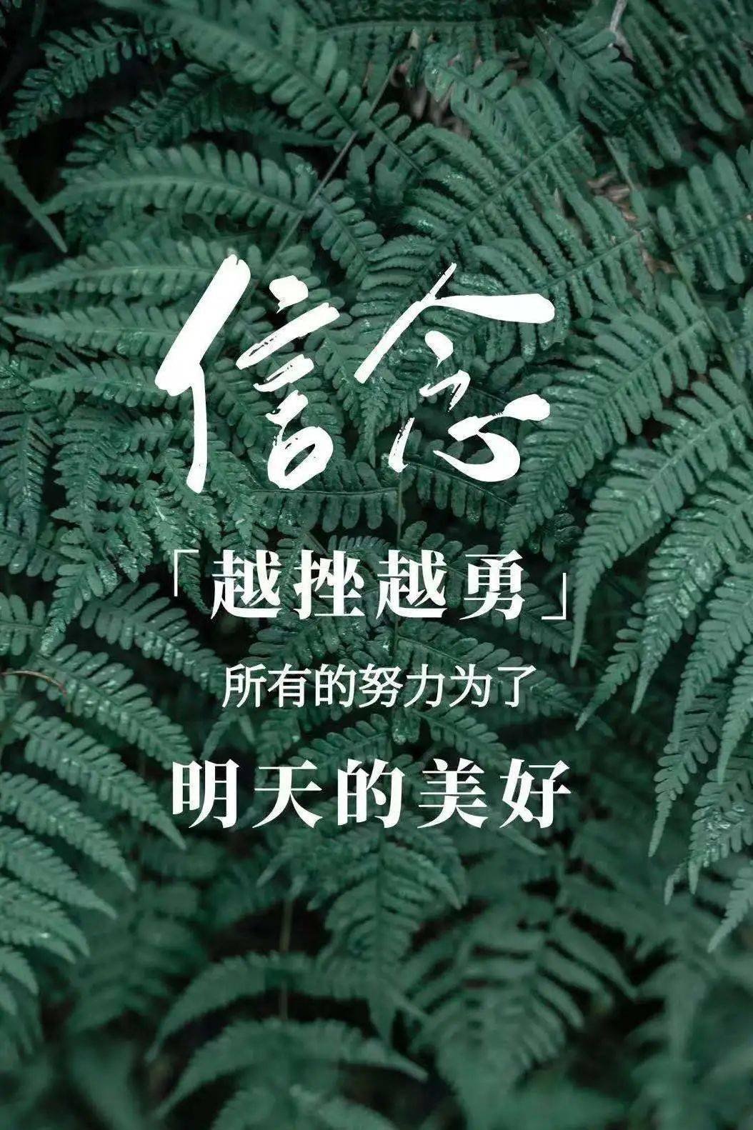 75希望之光会驱散绝望之云读书日签