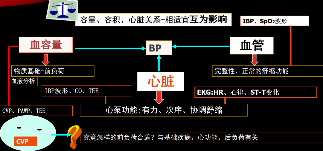 f90a7331e76a48f7bf1784d403342588.png