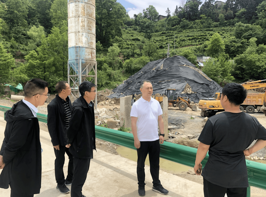 镇巴县委组织部部长张林明到三元镇检查指导生态环保等工作