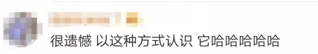 网友|微信圈子宣布年底停止运营！网友评论亮了