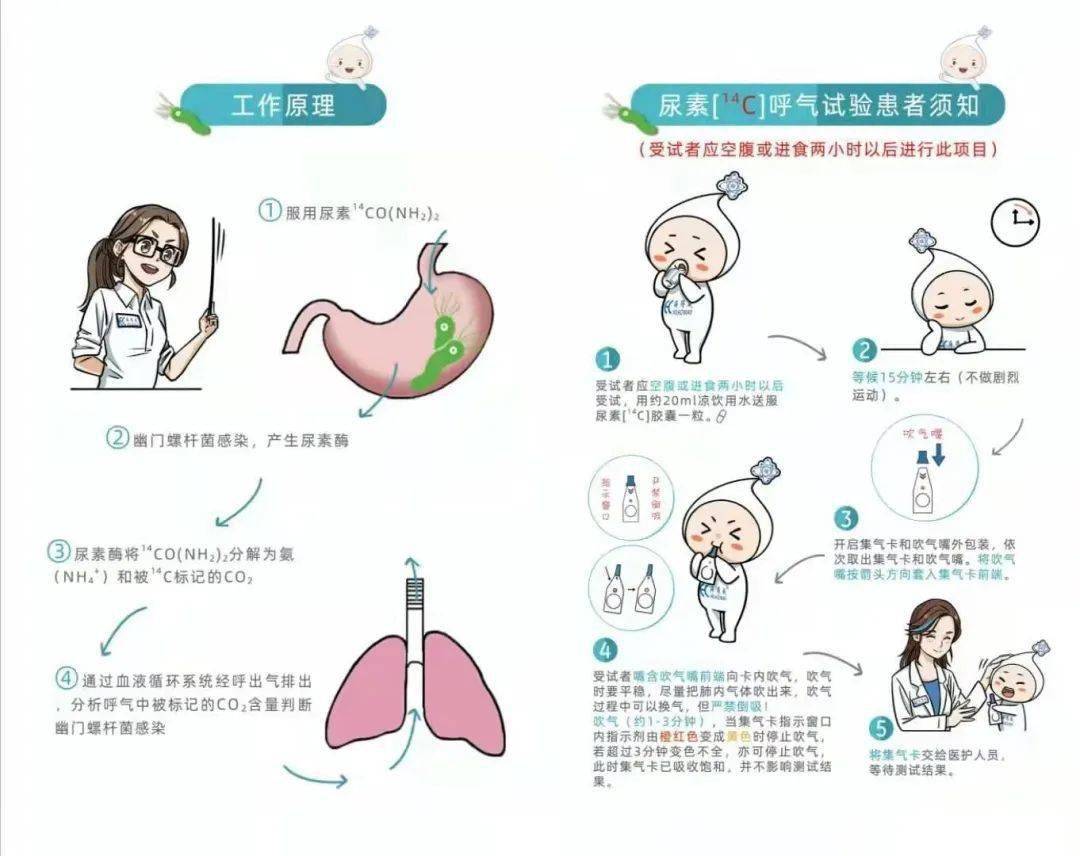 除幽保胃健康小知识通过开展此次活动,不但加深了患者对幽门螺杆菌(hp