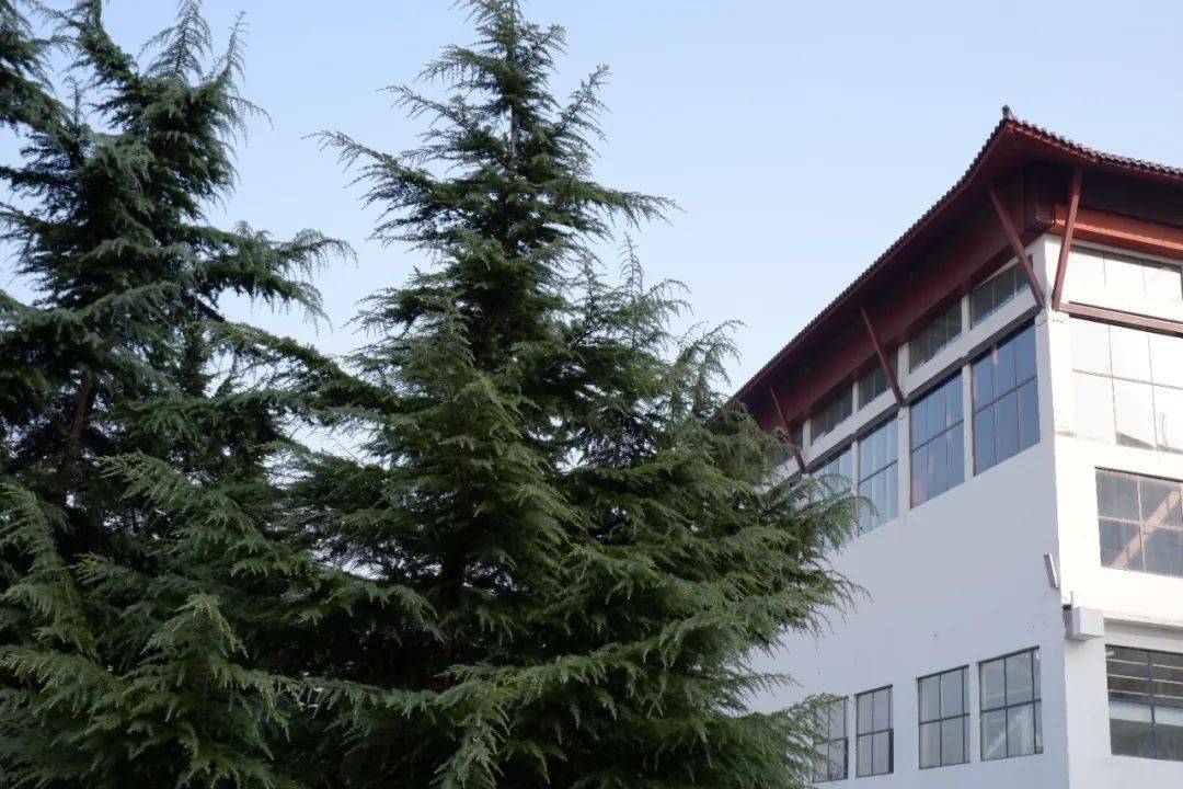 又一所新高中章丘双语高中部招生计划来袭