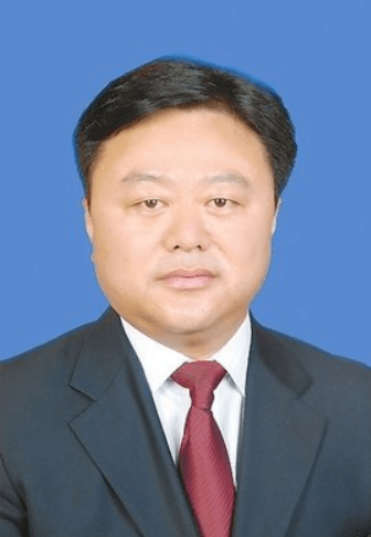 陈星(曾任夏邑县副县长)任河南省人民政府副省长