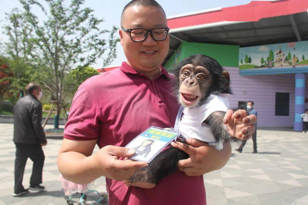 六一童心季猩宝两周岁生日趴