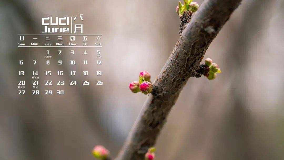 送你一份大礼包!六月日历壁纸来了