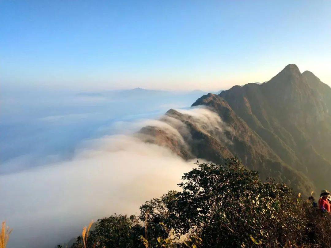 其中从登山口到龙尾为凌晨夜爬路段,穿过树林.