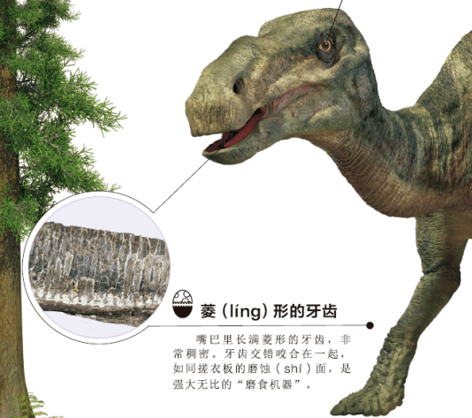 你知道为什么小朋友那么喜欢恐龙吗?