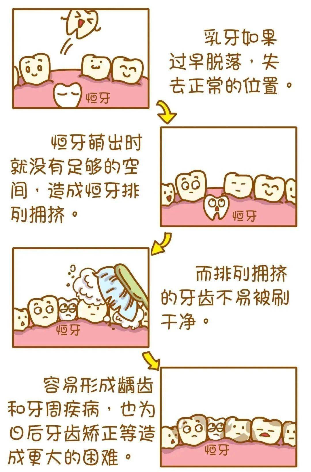 恒磨牙会换吗图片