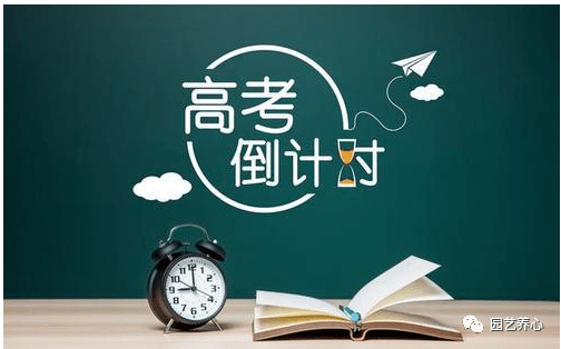 高考的意义有哪些 2169bccdf31949a2824dd72ac65fdd17.png