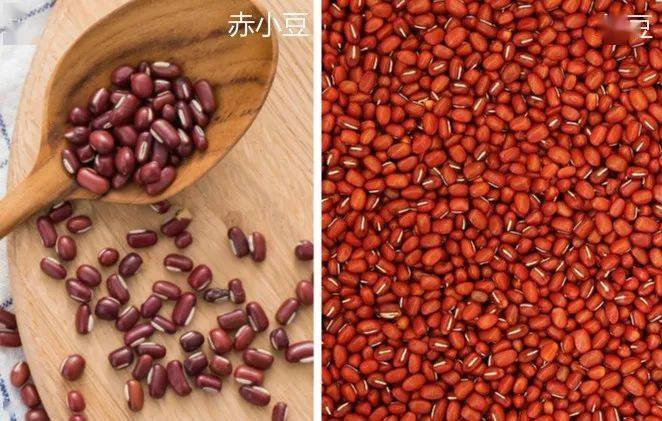 红豆看上去颜色亮;赤小豆虽然也是红褐色,但有些发暗.