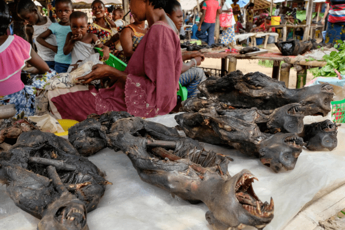 非洲买卖人肉的市场图片