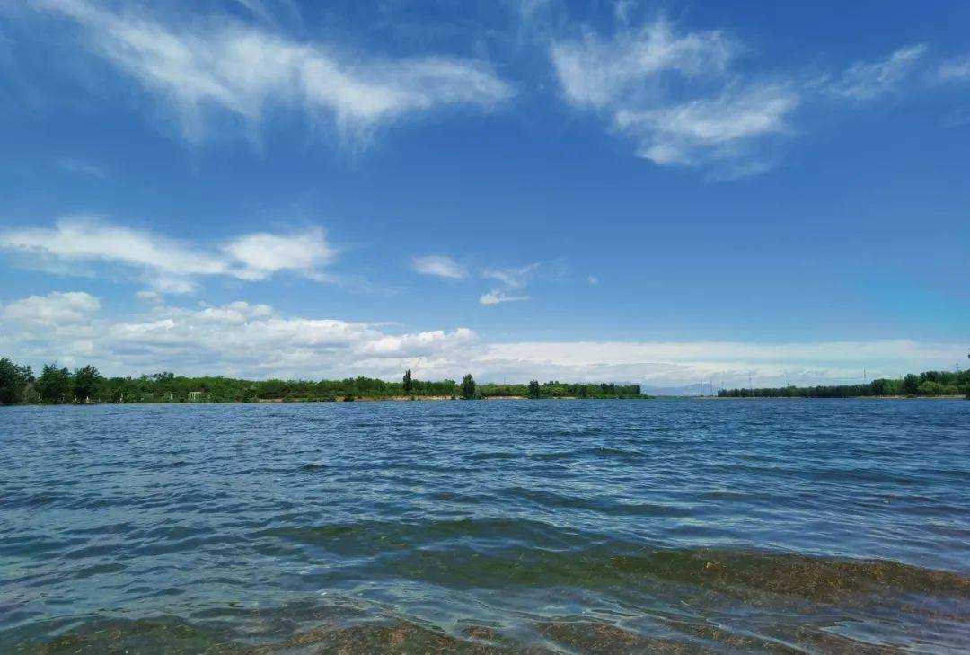 多图直击!顺义潮白河38公里全线通水,引来水鸟无数