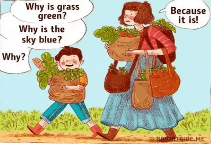 af1773d8d5644729afde0fcbb18a7389.png