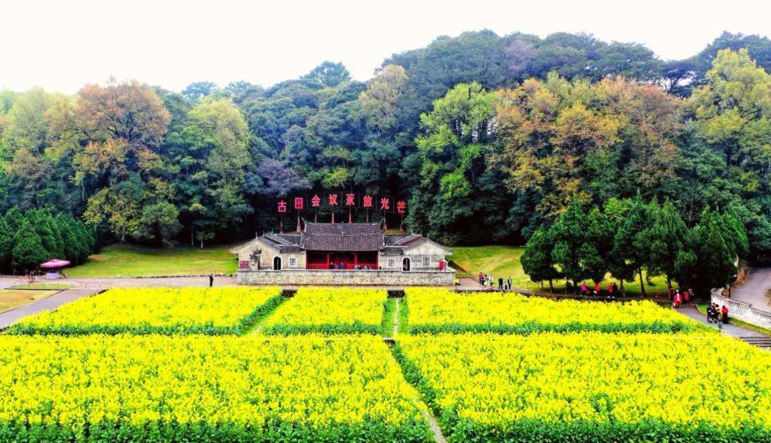 龙岩市上杭县古田镇,白墙黑瓦的古田会议会址显得格外庄重古朴,艳阳下