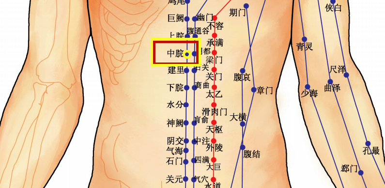 胃痛艾灸哪个部位图解图片