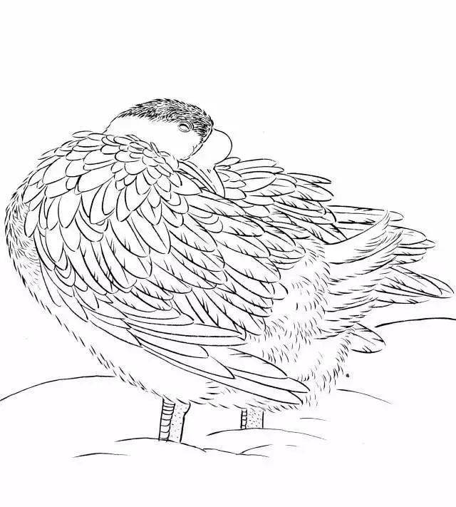 中国传统白描图谱以及白描知识及线描要求