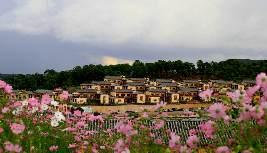 三项实力跃上新台阶!楚雄,熠熠生辉