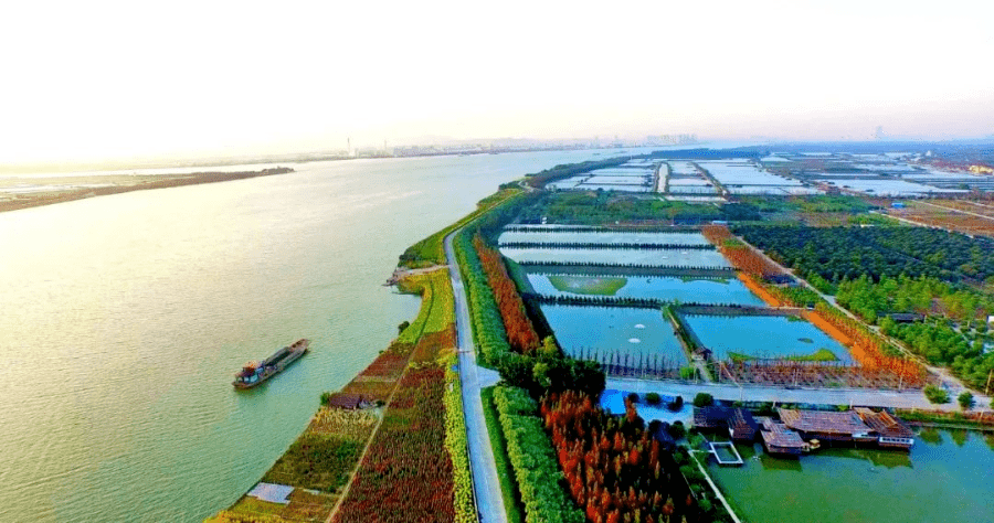 名额仅一个横栏代表中山到省里打擂台