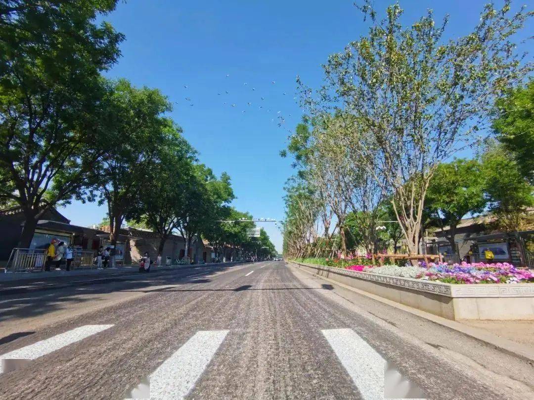 绿荫映京韵平安大街张自忠路段旧貌换新颜