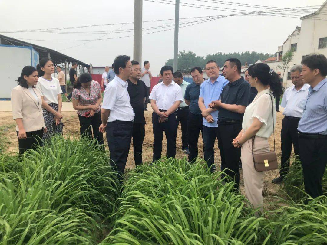 李瑜,河南农业大学教授陈文,河南智龙生物科技有限公司总经理王卫民