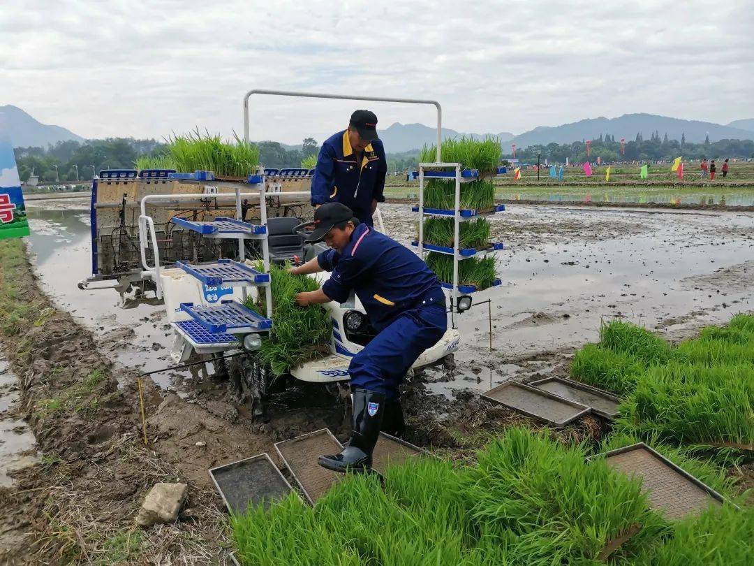 秀洲区农机手喜获全省水稻插秧机作业技能比赛第二名