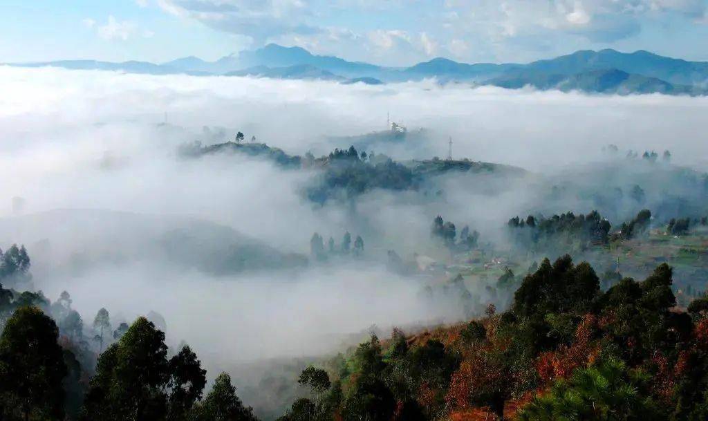 龙肘山云海(省普查办供图)