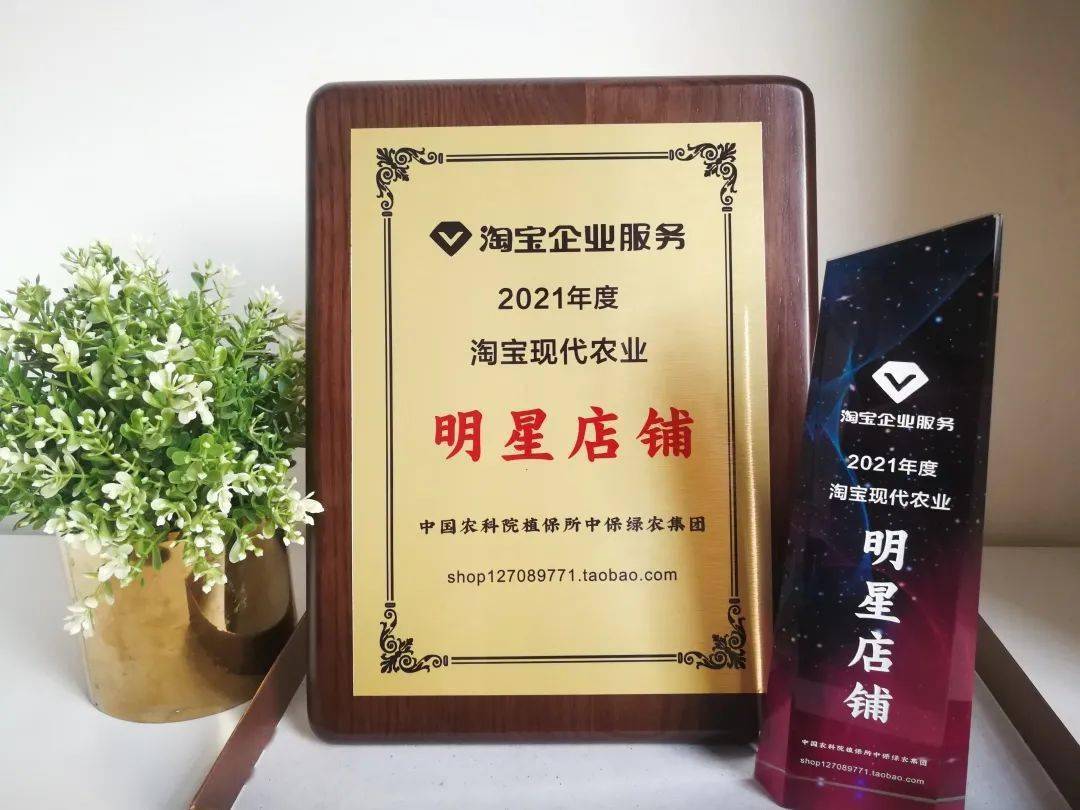 捷报频传中保电商荣获阿里巴巴明星店铺称号单月业绩突破1000万