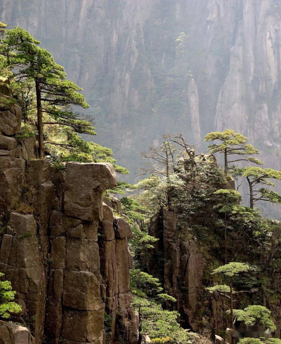 六月,来黄山寻找属于你的快乐星球