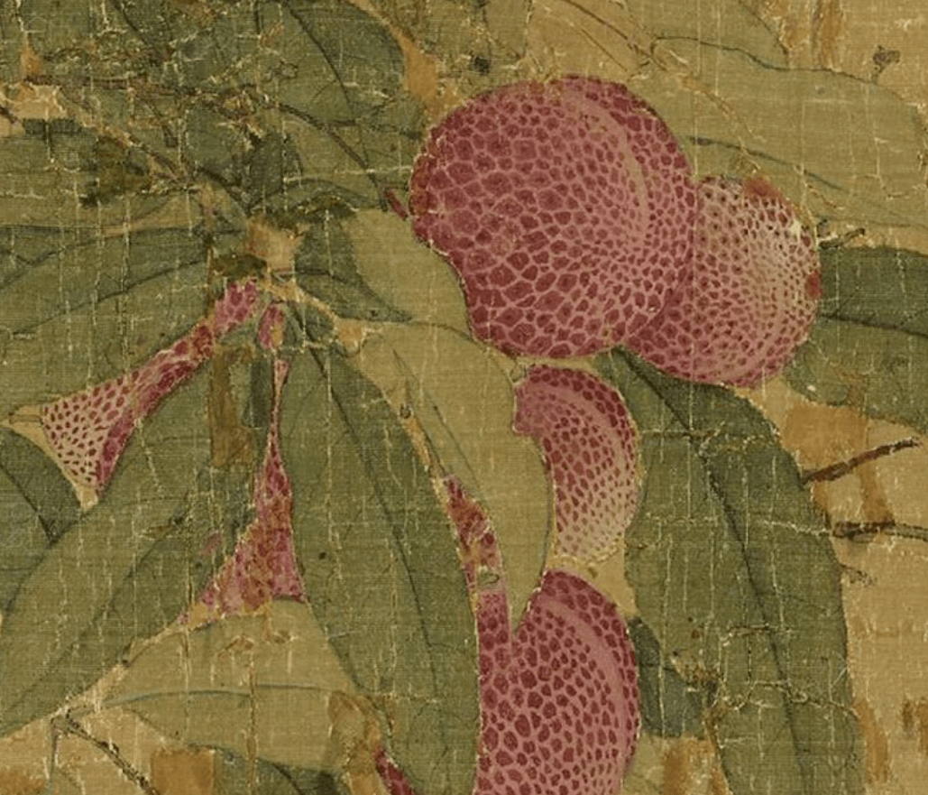 高清国画,看看宋徽宗笔下的荔枝图