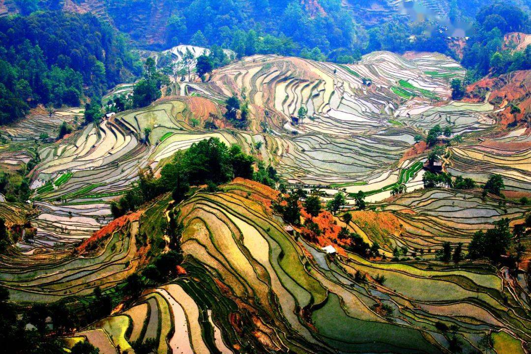【聚焦】绝美!颜值巅峰的哈尼梯田_世界遗产名录