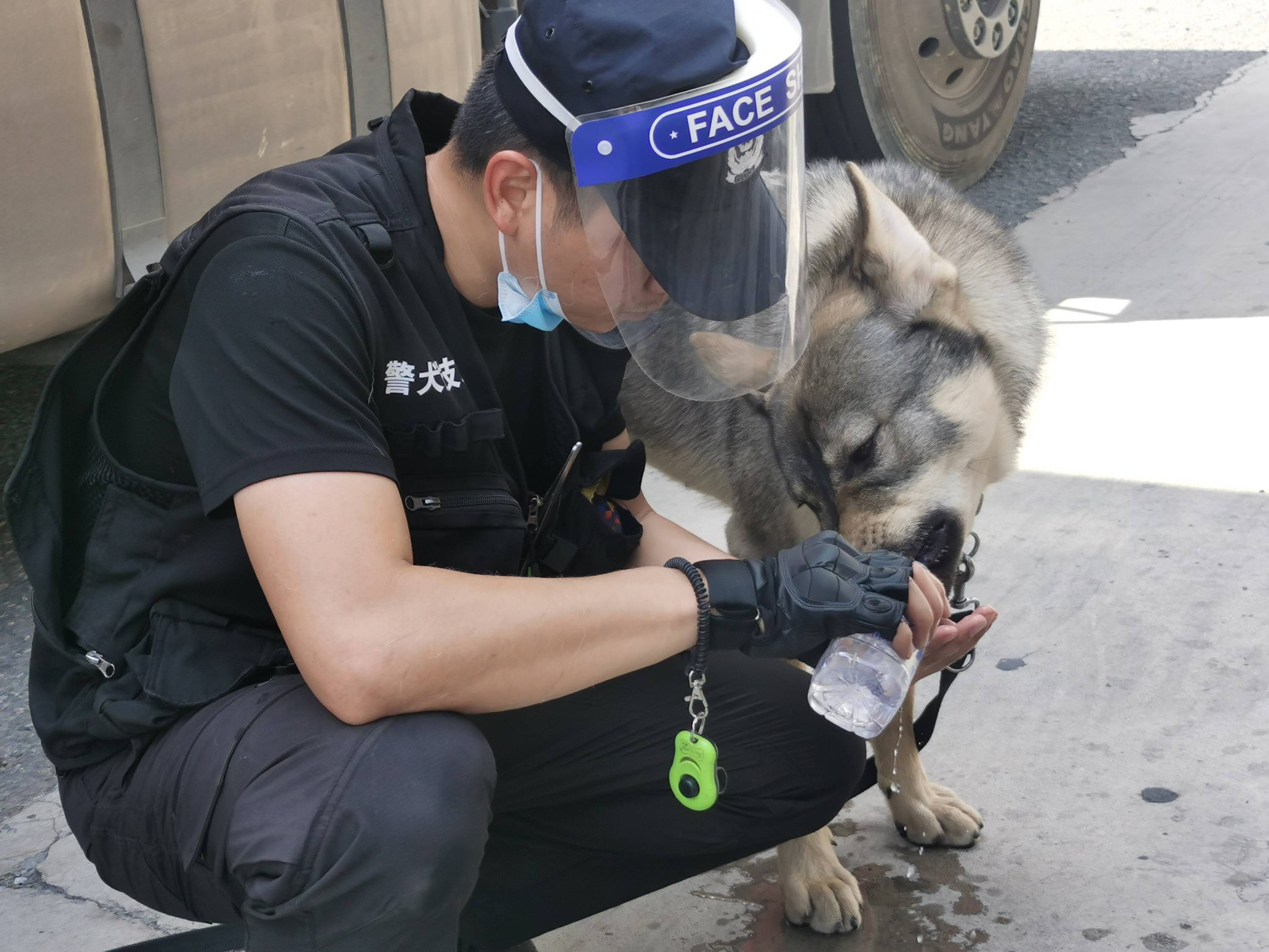 警犬"飓风"立功 快递内查获冰毒