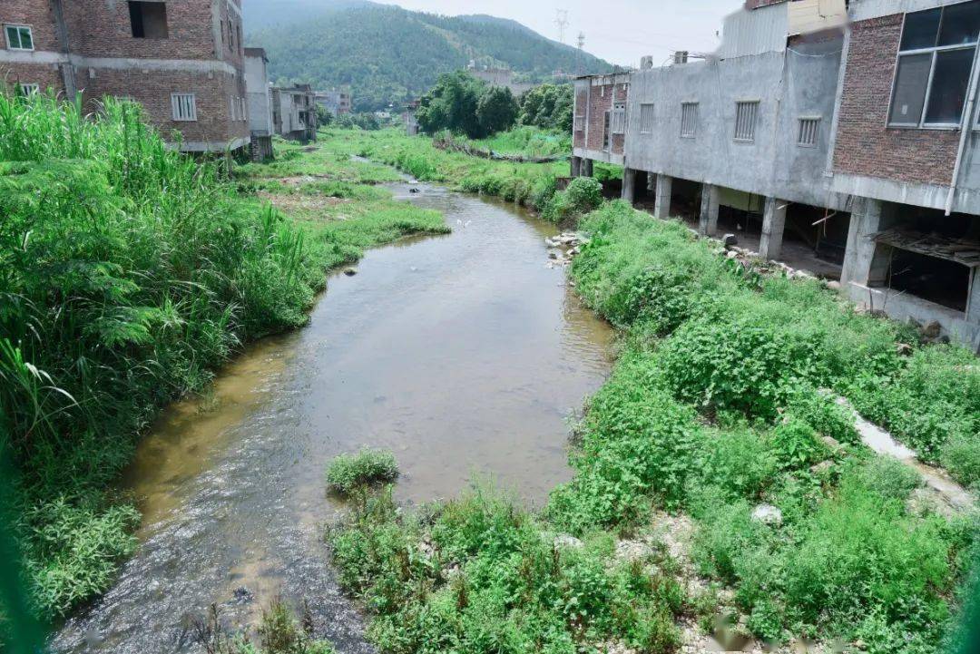 官橋九溪村河道清淤顯成效水清岸綠換新貌