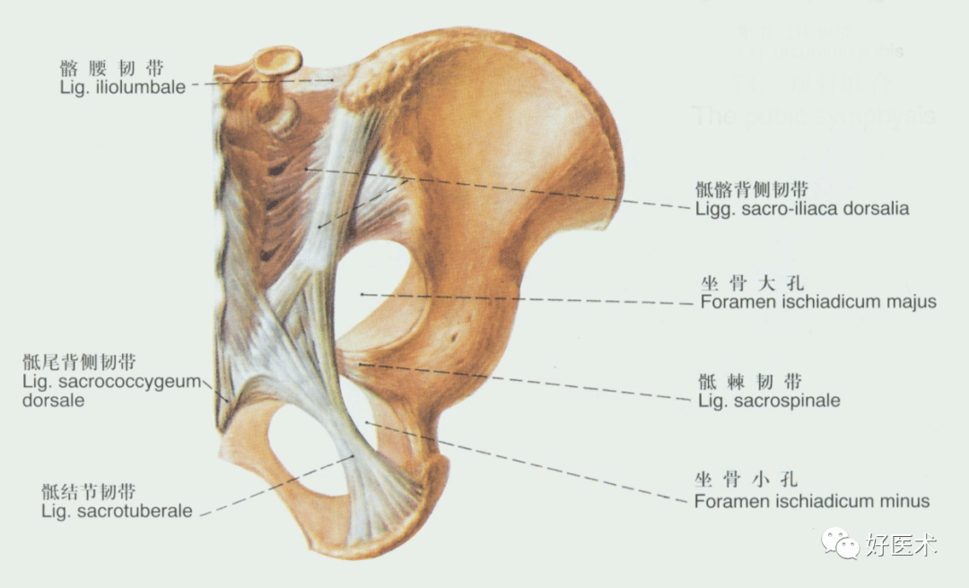 dd22ac9a3acf4784b24bc077323c6e3a.png