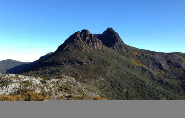 气候变化使澳大利亚高山植物面临生存威胁 研究