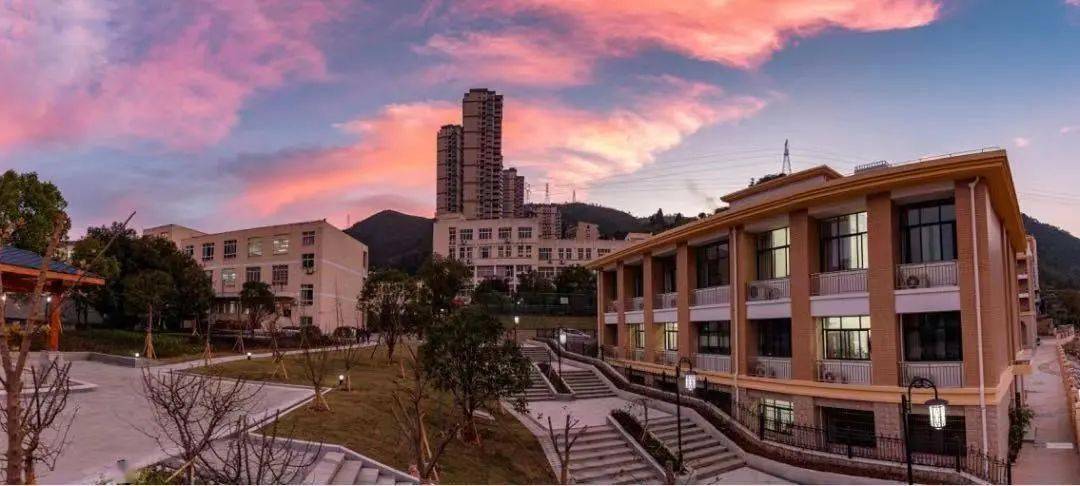 他们将在 青田中学和 青田县职业技术学校两个