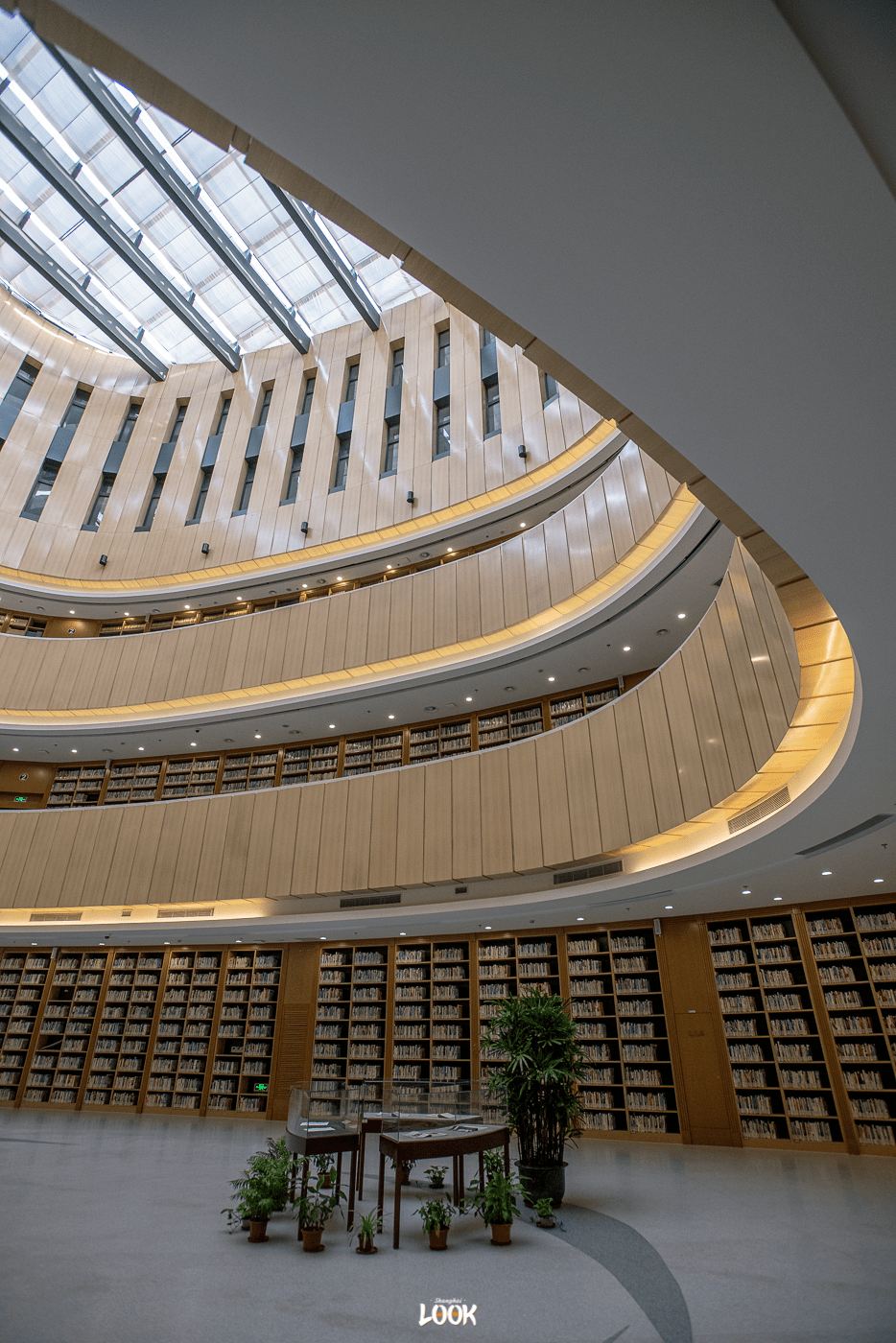 look上海大学上海哪所大学