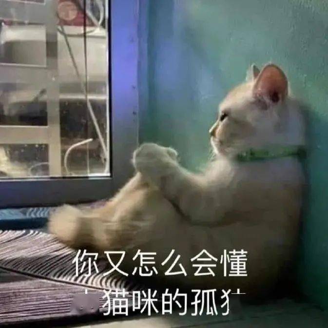 3c86a9d8b3784fa08535da97802569cd.jpeg