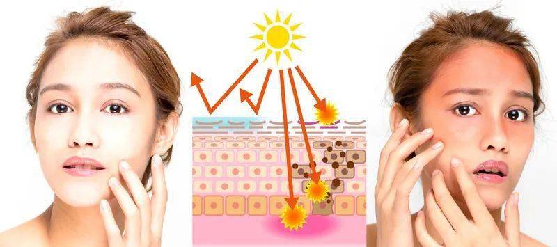 Os ingredientes do protetor solar para o rosto插图