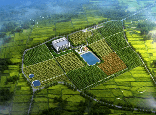 文章配图-6