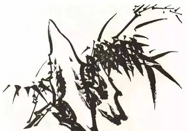 逃禅简谱_逃爱简谱(2)
