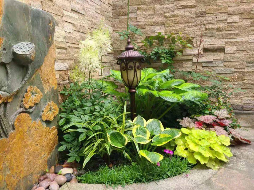 花园里的背阴处这样打造就很美